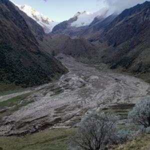 Flujo de detritos - Remoción en masa